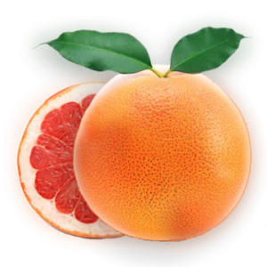 Grapefruit PNG-15260